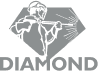 Diamond Power Washing Logo